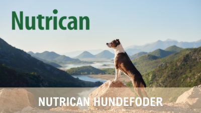 Nutrican hundefoder - se mere Nutrican hundefoder - se mere